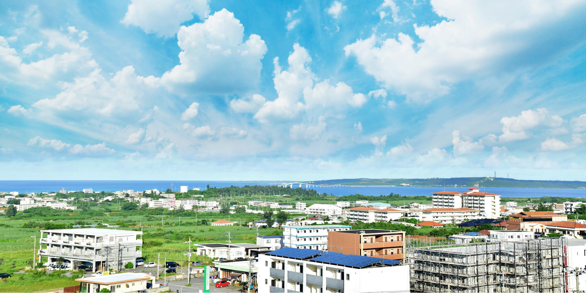 para02_bg